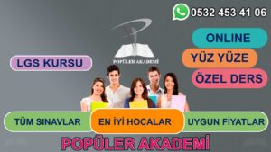 Online Lgs Kurs Online Lgs Dersane, Canlı Lgs Özel Ders