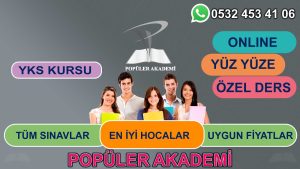 matematik özel ders alaşehir