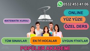 matematik özel ders alaşehir